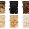 Salon Exclusive Clip-in Extensions One Piece