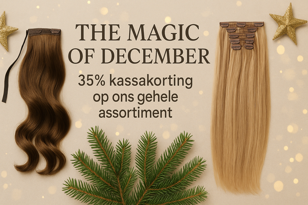 <h2><strong>December Dream</strong></h2>