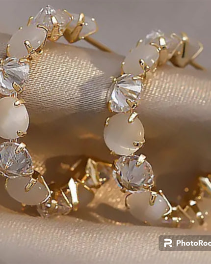 Elisa Earrings Stainless Steel Zirkonia Creole