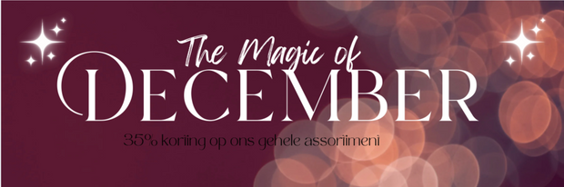 <h2><strong>December Dream</strong></h2>